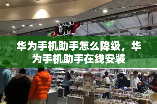 华为手机助手怎么降级，华为手机助手在线安装-第1张图片-星选测评