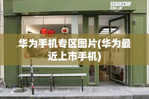 华为手机专区图片(华为最近上市手机)-第1张图片-星选测评