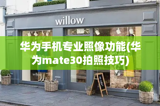 华为手机专业照像功能(华为mate30拍照技巧)-第1张图片-星选测评