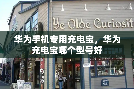 华为手机专用充电宝，华为充电宝哪个型号好-第1张图片-星选测评