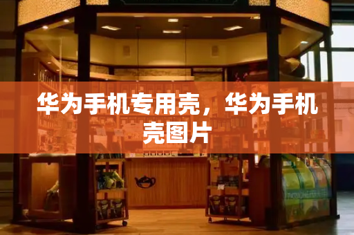华为手机专用壳，华为手机壳图片-第1张图片-星选测评