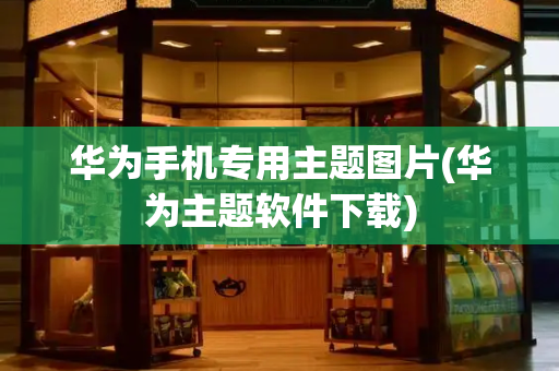 华为手机专用主题图片(华为主题软件下载)-第1张图片-星选测评