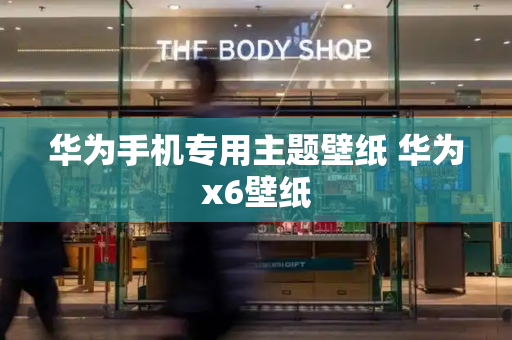 华为手机专用主题壁纸 华为x6壁纸