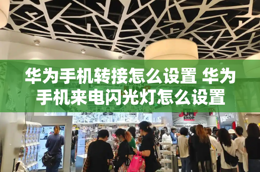 华为手机转接怎么设置 华为手机来电闪光灯怎么设置-第1张图片-星选测评