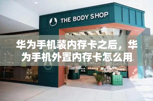 华为手机装内存卡之后，华为手机外置内存卡怎么用-第1张图片-星选测评
