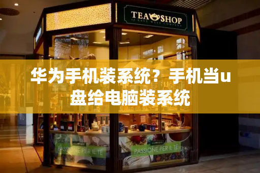 华为手机装系统？手机当u盘给电脑装系统-第1张图片-星选测评