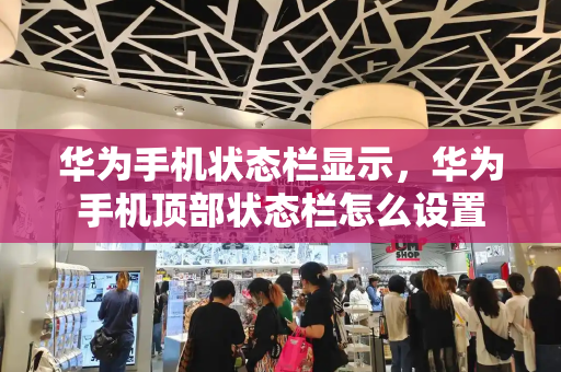 华为手机状态栏显示，华为手机顶部状态栏怎么设置