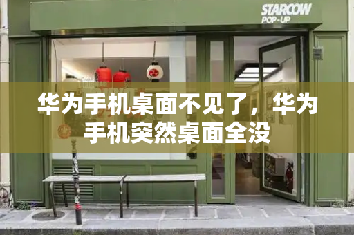 华为手机桌面不见了，华为手机突然桌面全没-第1张图片-星选测评