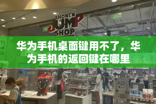 华为手机桌面键用不了，华为手机的返回键在哪里-第1张图片-星选测评