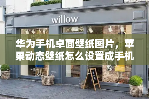 华为手机卓面壁纸图片，苹果动态壁纸怎么设置成手机壁纸-第1张图片-星选测评