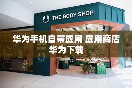 华为手机自带应用 应用商店华为下载