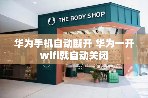 华为手机自动断开 华为一开wifi就自动关闭-第1张图片-星选测评