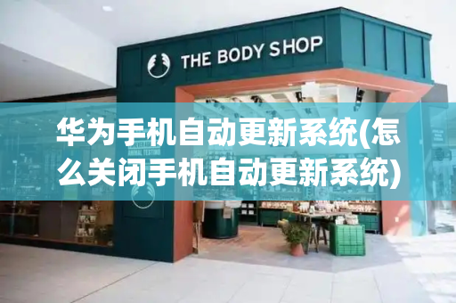 华为手机自动更新系统(怎么关闭手机自动更新系统)-第1张图片-星选测评