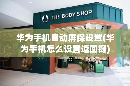 华为手机自动屏保设置(华为手机怎么设置返回键)-第1张图片-星选测评
