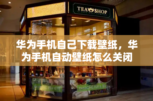 华为手机自己下载壁纸，华为手机自动壁纸怎么关闭
