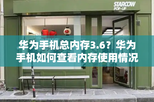 华为手机总内存3.6？华为手机如何查看内存使用情况-第1张图片-星选测评