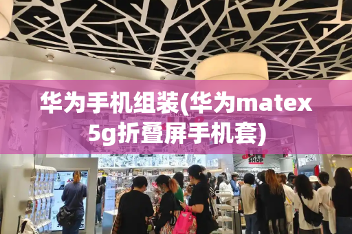 华为手机组装(华为matex5g折叠屏手机套)-第1张图片-星选测评