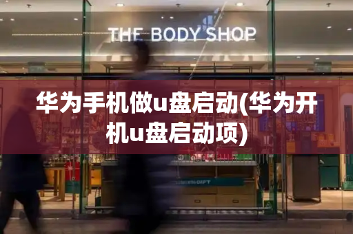 华为手机做u盘启动(华为开机u盘启动项)