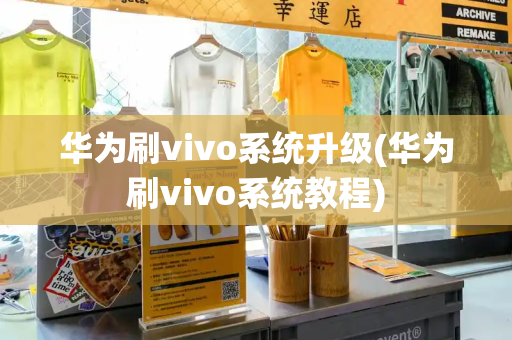 华为刷vivo系统升级(华为刷vivo系统教程)-第1张图片-星选测评
