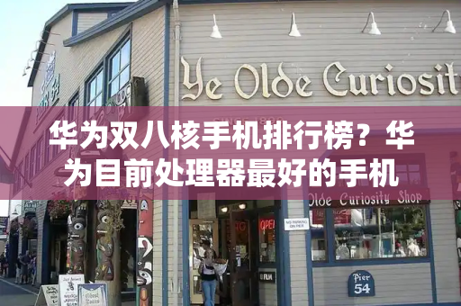 华为双八核手机排行榜？华为目前处理器最好的手机-第1张图片-星选测评