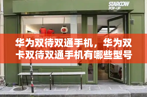 华为双待双通手机，华为双卡双待双通手机有哪些型号-第1张图片-星选测评