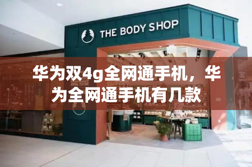 华为双4g全网通手机，华为全网通手机有几款-第1张图片-星选测评