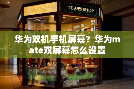 华为双机手机屏幕？华为mate双屏幕怎么设置-第1张图片-星选测评