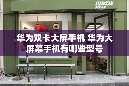 华为双卡大屏手机 华为大屏幕手机有哪些型号-第1张图片-星选测评
