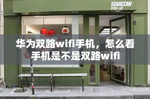 华为双路wifi手机，怎么看手机是不是双路wifi