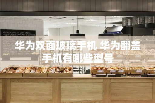 华为双面玻璃手机 华为翻盖手机有哪些型号-第1张图片-星选测评