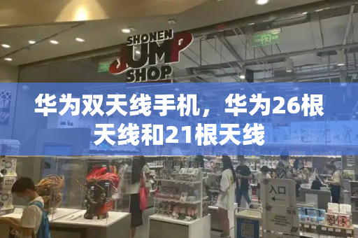 华为双天线手机，华为26根天线和21根天线