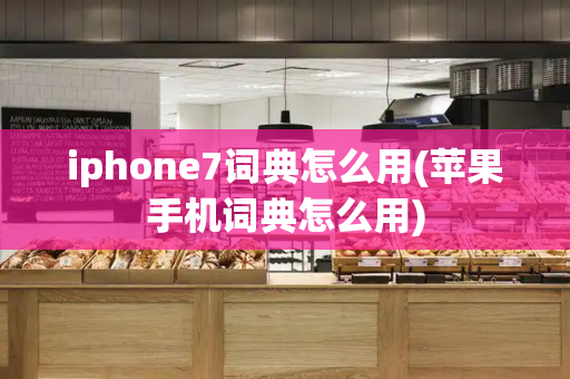iphone7词典怎么用(苹果手机词典怎么用)