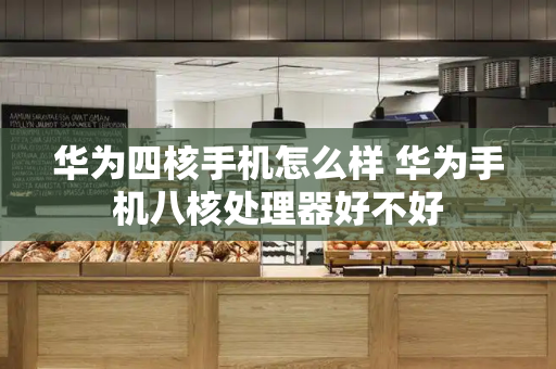 华为四核手机怎么样 华为手机八核处理器好不好-第1张图片-星选测评