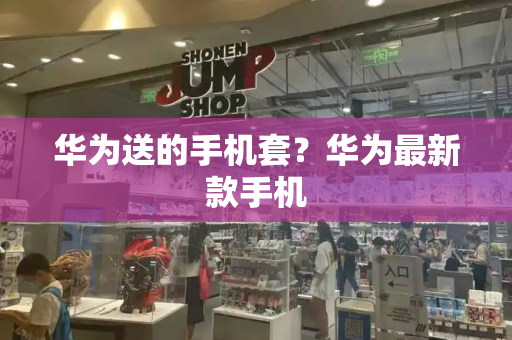 华为送的手机套？华为最新款手机