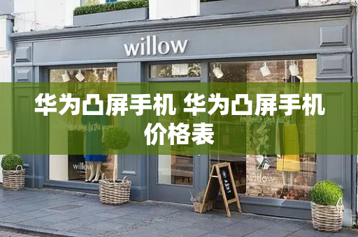 华为凸屏手机 华为凸屏手机价格表-第1张图片-星选测评