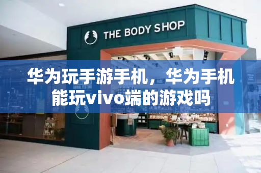 华为玩手游手机，华为手机能玩vivo端的游戏吗