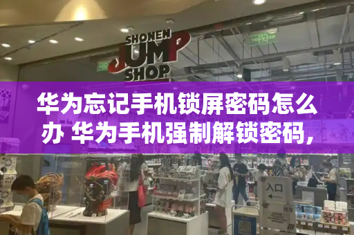 华为忘记手机锁屏密码怎么办 华为手机强制解锁密码,该怎么