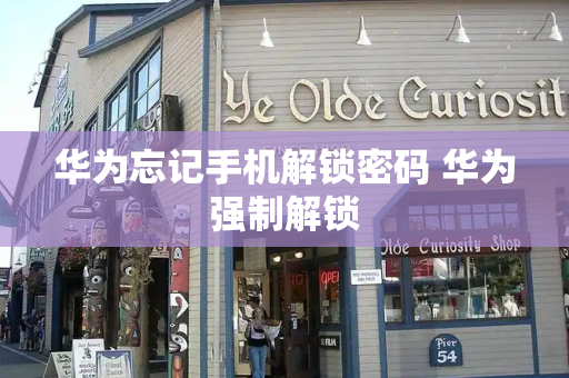 华为忘记手机解锁密码 华为强制解锁