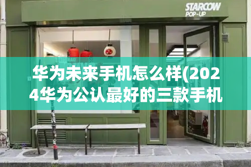 华为未来手机怎么样(2024华为公认最好的三款手机)-第1张图片-星选测评