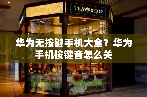 华为无按键手机大全？华为手机按键音怎么关