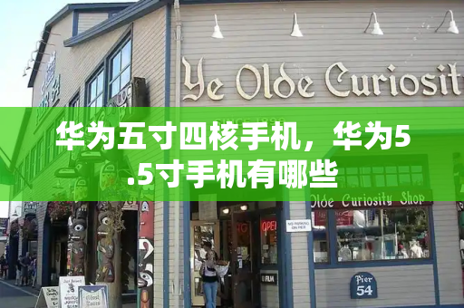 华为五寸四核手机，华为5.5寸手机有哪些-第1张图片-星选测评
