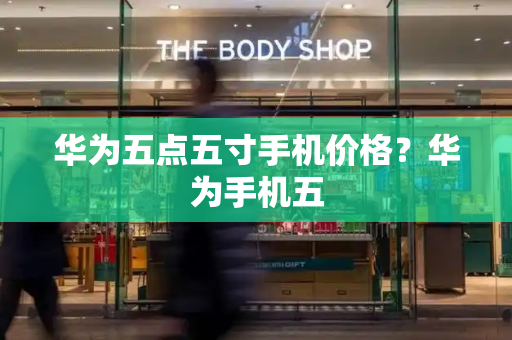 华为五点五寸手机价格？华为手机五-第1张图片-星选测评