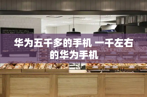 华为五千多的手机 一千左右的华为手机-第1张图片-星选测评