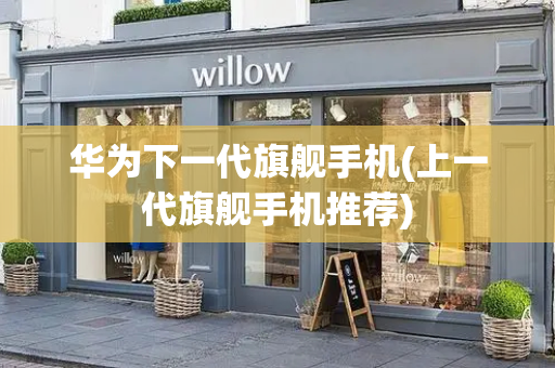 华为下一代旗舰手机(上一代旗舰手机推荐)