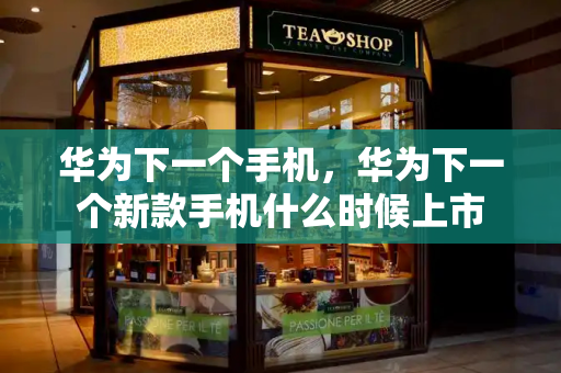 华为下一个手机，华为下一个新款手机什么时候上市-第1张图片-星选测评