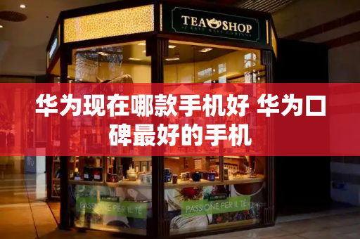 华为现在哪款手机好 华为口碑最好的手机