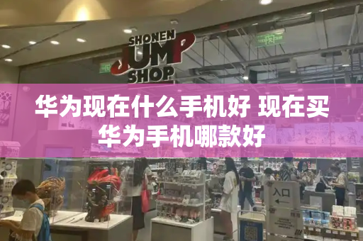 华为现在什么手机好 现在买华为手机哪款好-第1张图片-星选测评