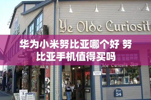 华为小米努比亚哪个好 努比亚手机值得买吗-第1张图片-星选测评