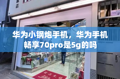 华为小钢炮手机，华为手机畅享70pro是5g的吗