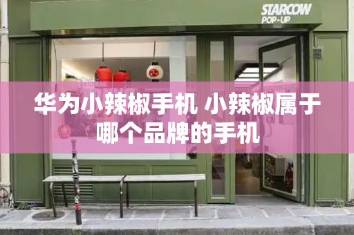 华为小辣椒手机 小辣椒属于哪个品牌的手机